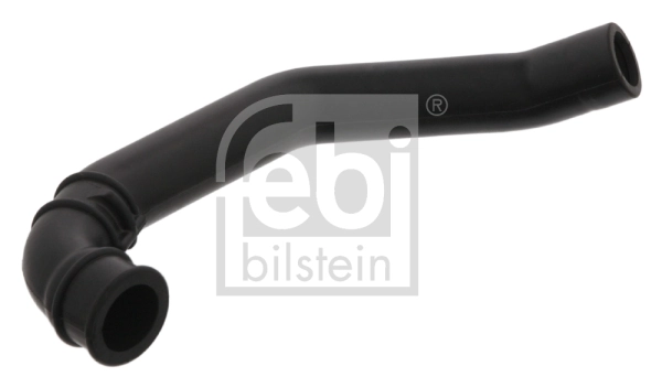 Hose, crankcase ventilation
